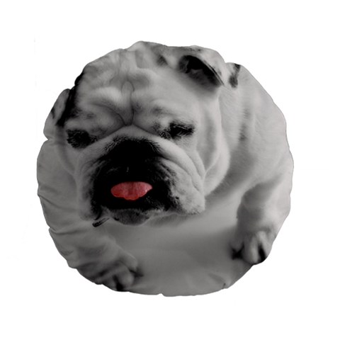White Bulldog Standard 15  Premium Flano Round Cushion  from ArtsNow.com Back