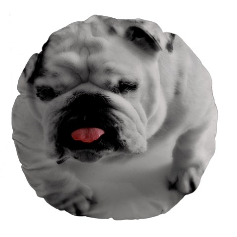 White Bulldog Large 18  Premium Flano Round Cushion  from ArtsNow.com Front