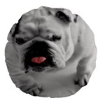 White Bulldog Large 18  Premium Flano Round Cushion 