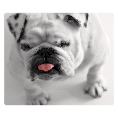 White Bulldog Double Sided Flano Blanket (Small) from ArtsNow.com 50 x40  Blanket Front