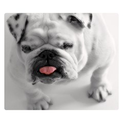 White Bulldog Double Sided Flano Blanket (Small) from ArtsNow.com 50 x40  Blanket Back
