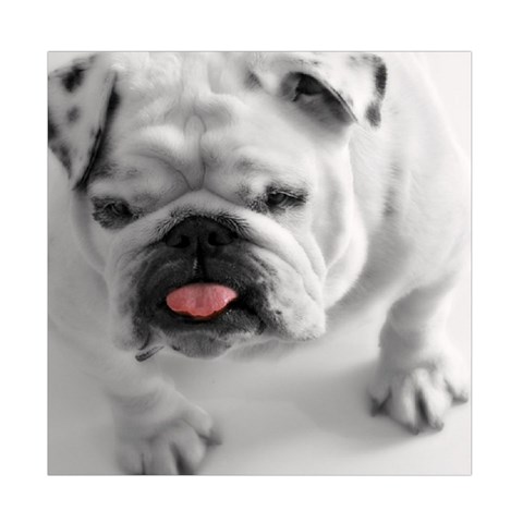 White Bulldog Duvet Cover (Full/ Double Size) from ArtsNow.com Front