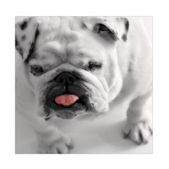White Bulldog Duvet Cover Double Side (Full/ Double Size) from ArtsNow.com Back