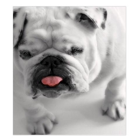 White Bulldog Duvet Cover Double Side (King Size) from ArtsNow.com Front