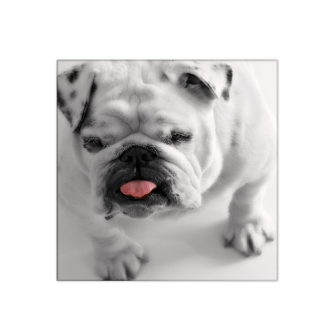 White Bulldog Satin Bandana Scarf from ArtsNow.com Front