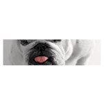 White Bulldog Satin Scarf (Oblong)
