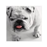 White Bulldog Small Satin Scarf (Square)