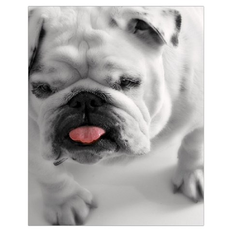 White Bulldog Drawstring Pouch (XL) from ArtsNow.com Back