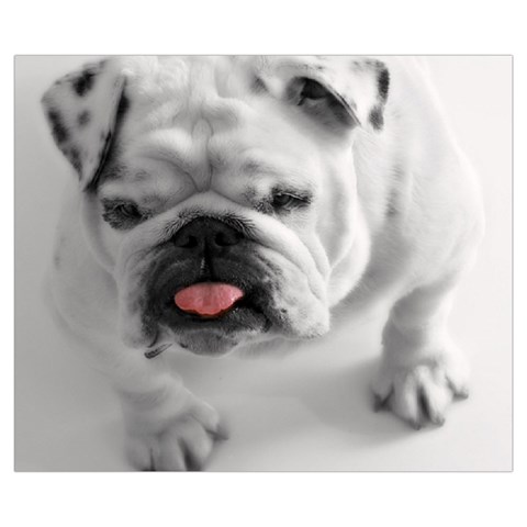 White Bulldog Medium Zipper Tote Bag from ArtsNow.com Front