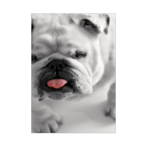 White Bulldog Small Tapestry from ArtsNow.com Front