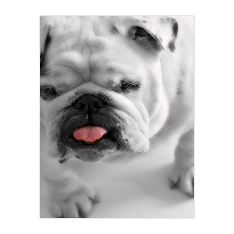 White Bulldog Medium Tapestry from ArtsNow.com Front