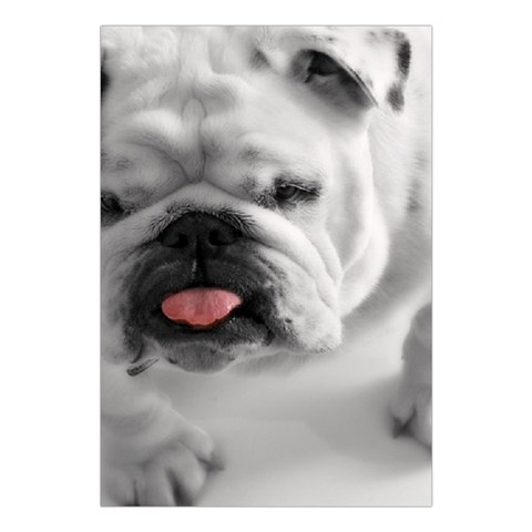 White Bulldog Large Tapestry from ArtsNow.com Front