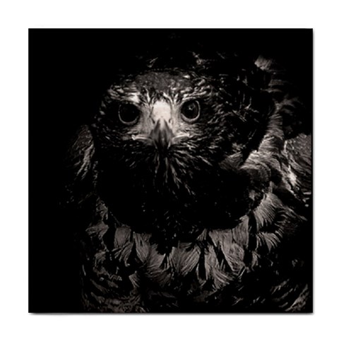 Hawk Tile Coaster from ArtsNow.com Front