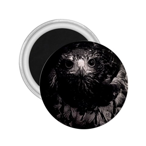 Hawk 2.25  Magnet from ArtsNow.com Front