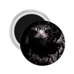 Hawk 2.25  Magnet