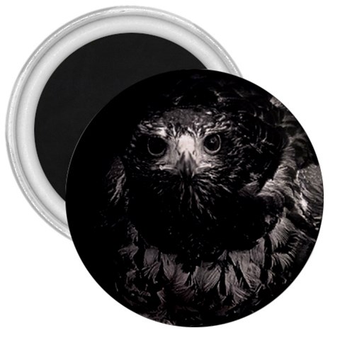 Hawk 3  Magnet from ArtsNow.com Front