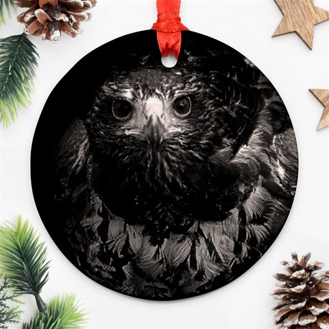Hawk Ornament (Round) from ArtsNow.com Front