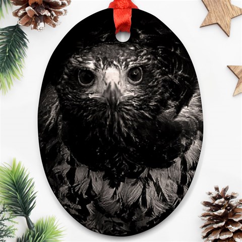 Hawk Ornament (Oval) from ArtsNow.com Front