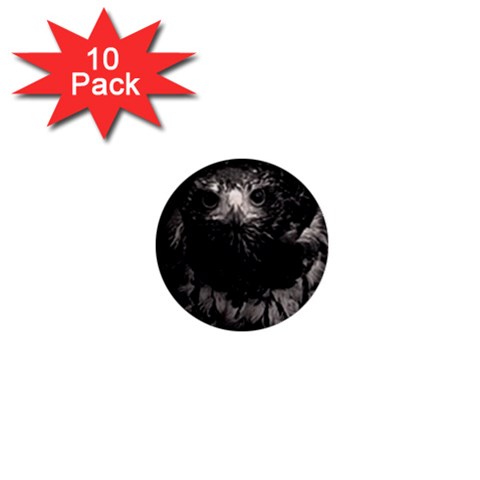 Hawk 1  Mini Button (10 pack)  from ArtsNow.com Front