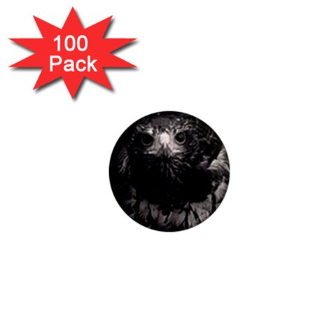 Hawk 1  Mini Magnet (100 pack)  from ArtsNow.com Front