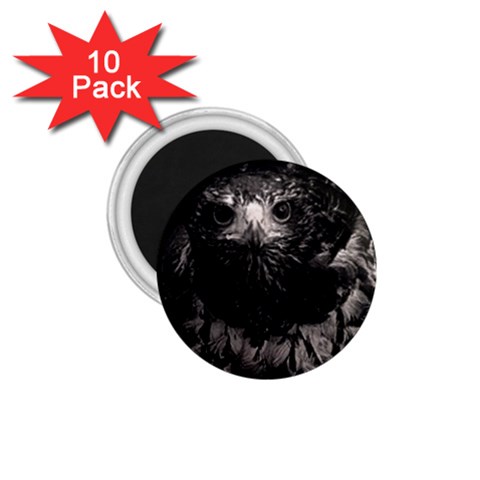 Hawk 1.75  Magnet (10 pack)  from ArtsNow.com Front