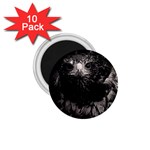 Hawk 1.75  Magnet (10 pack) 