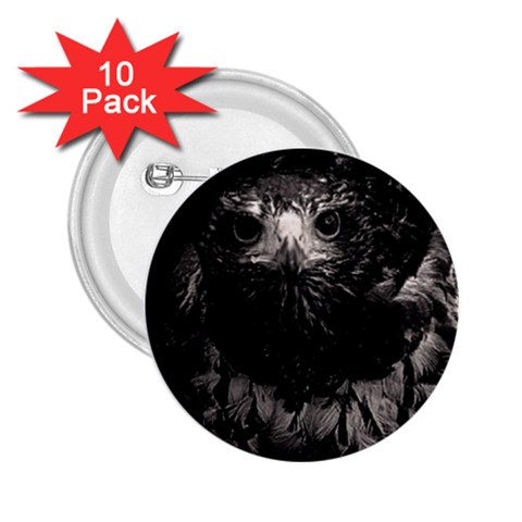 Hawk 2.25  Button (10 pack) from ArtsNow.com Front