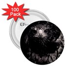 Hawk 2.25  Button (100 pack)