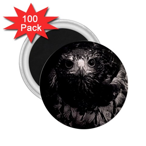 Hawk 2.25  Magnet (100 pack)  from ArtsNow.com Front