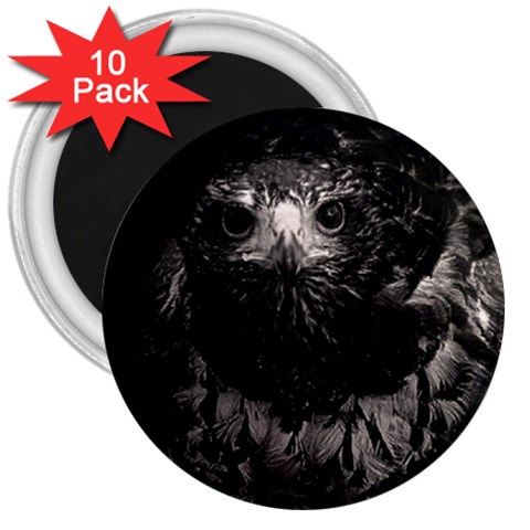 Hawk 3  Magnet (10 pack) from ArtsNow.com Front