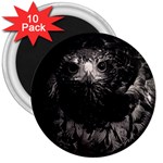 Hawk 3  Magnet (10 pack)