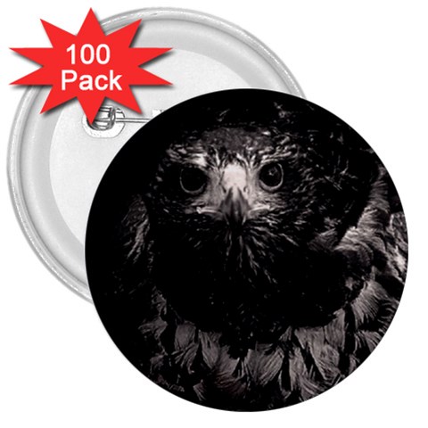 Hawk 3  Button (100 pack) from ArtsNow.com Front