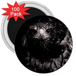 Hawk 3  Magnet (100 pack)