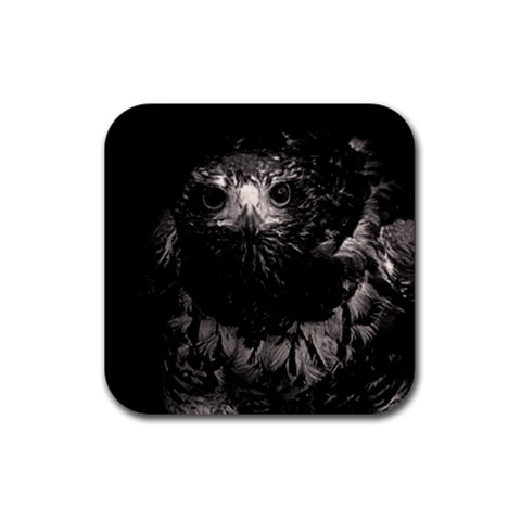 Hawk Rubber Coaster (Square) from ArtsNow.com Front
