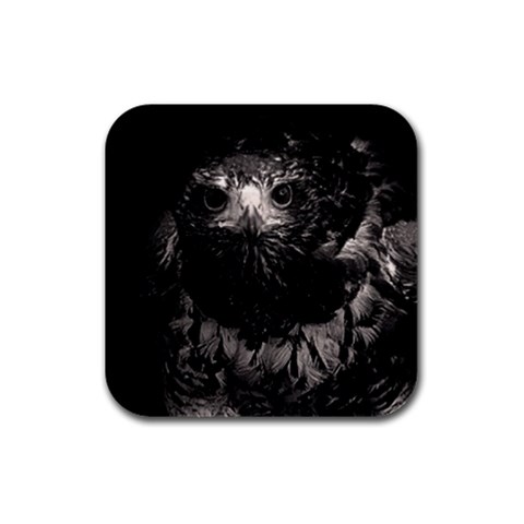 Hawk Rubber Square Coaster (4 pack) from ArtsNow.com Front