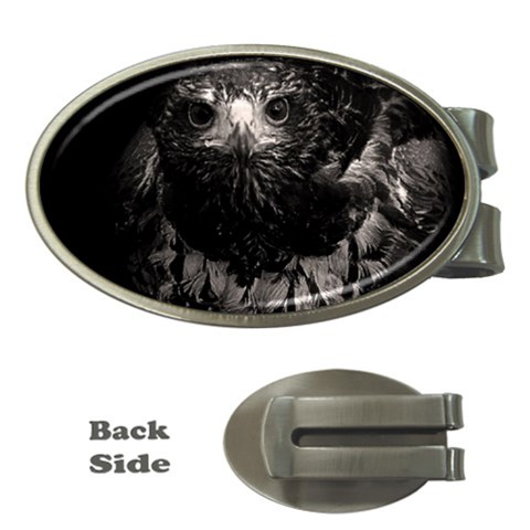 Hawk Money Clip (Oval) from ArtsNow.com Front