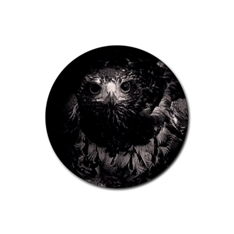 Hawk Rubber Round Coaster (4 pack) from ArtsNow.com Front