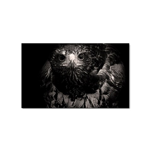 Hawk Sticker (Rectangular) from ArtsNow.com Front