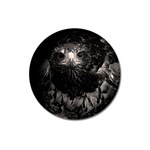 Hawk Magnet 3  (Round)