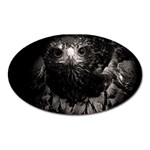 Hawk Magnet (Oval)