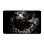 Hawk Magnet (Rectangular)