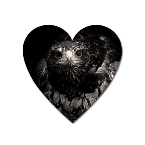 Hawk Magnet (Heart) from ArtsNow.com Front