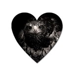 Hawk Magnet (Heart)