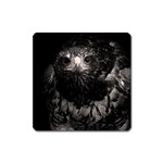 Hawk Magnet (Square)
