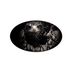 Hawk Sticker Oval (100 pack)