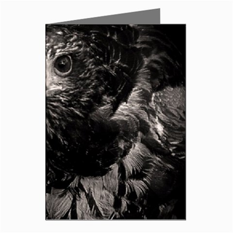 Hawk Greeting Cards (Pkg of 8) from ArtsNow.com Left