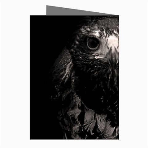 Hawk Greeting Cards (Pkg of 8) from ArtsNow.com Right