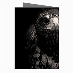 Hawk Greeting Cards (Pkg of 8) from ArtsNow.com Right