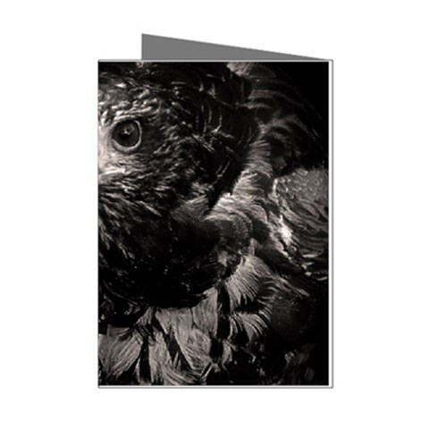Hawk Mini Greeting Cards (Pkg of 8) from ArtsNow.com Left