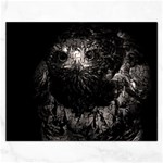 Hawk Jigsaw Puzzle (Rectangular)